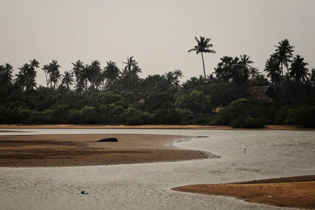 Wide real landscape of a lagoon and palm-lined shore in Kalpitiya