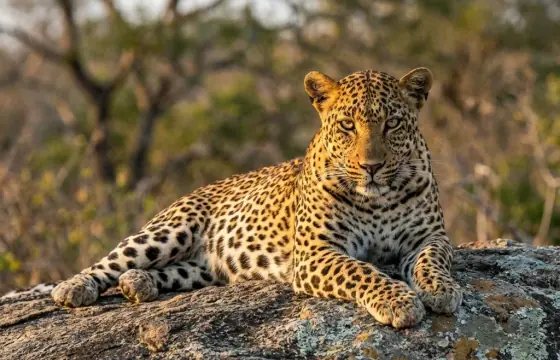 Sri Lanka travel planning for Australia