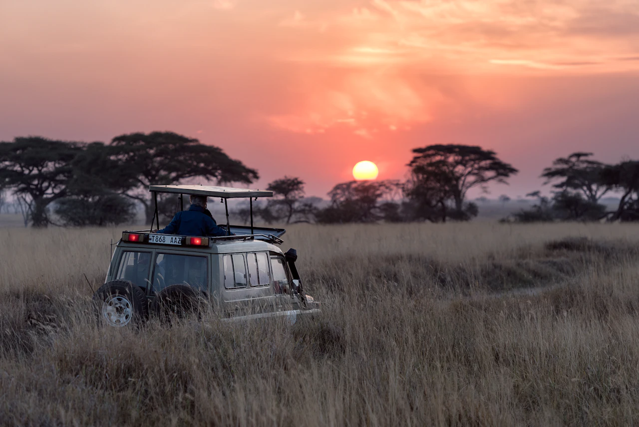 Yala Safari Experience