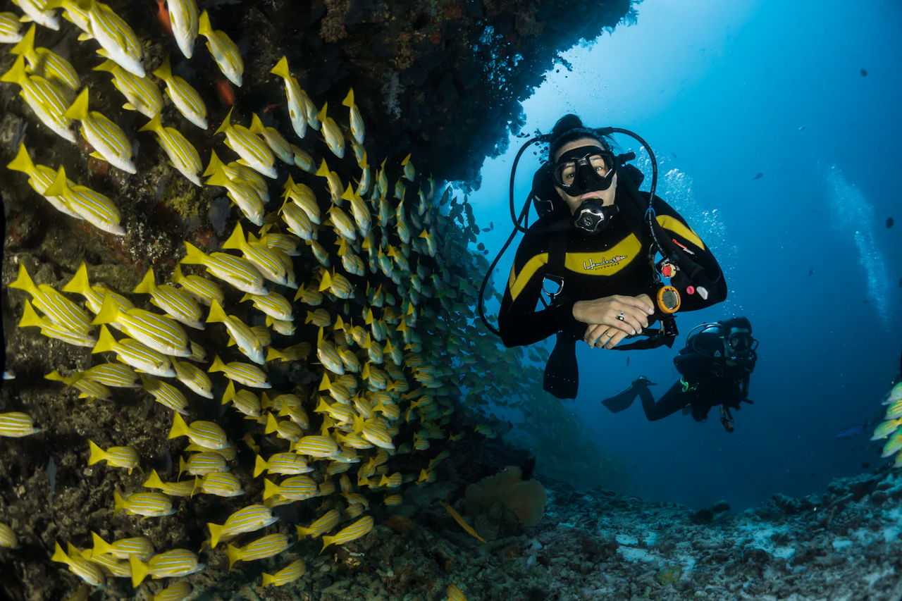 Discover Sri Lanka's Unique Marine Farming Culture